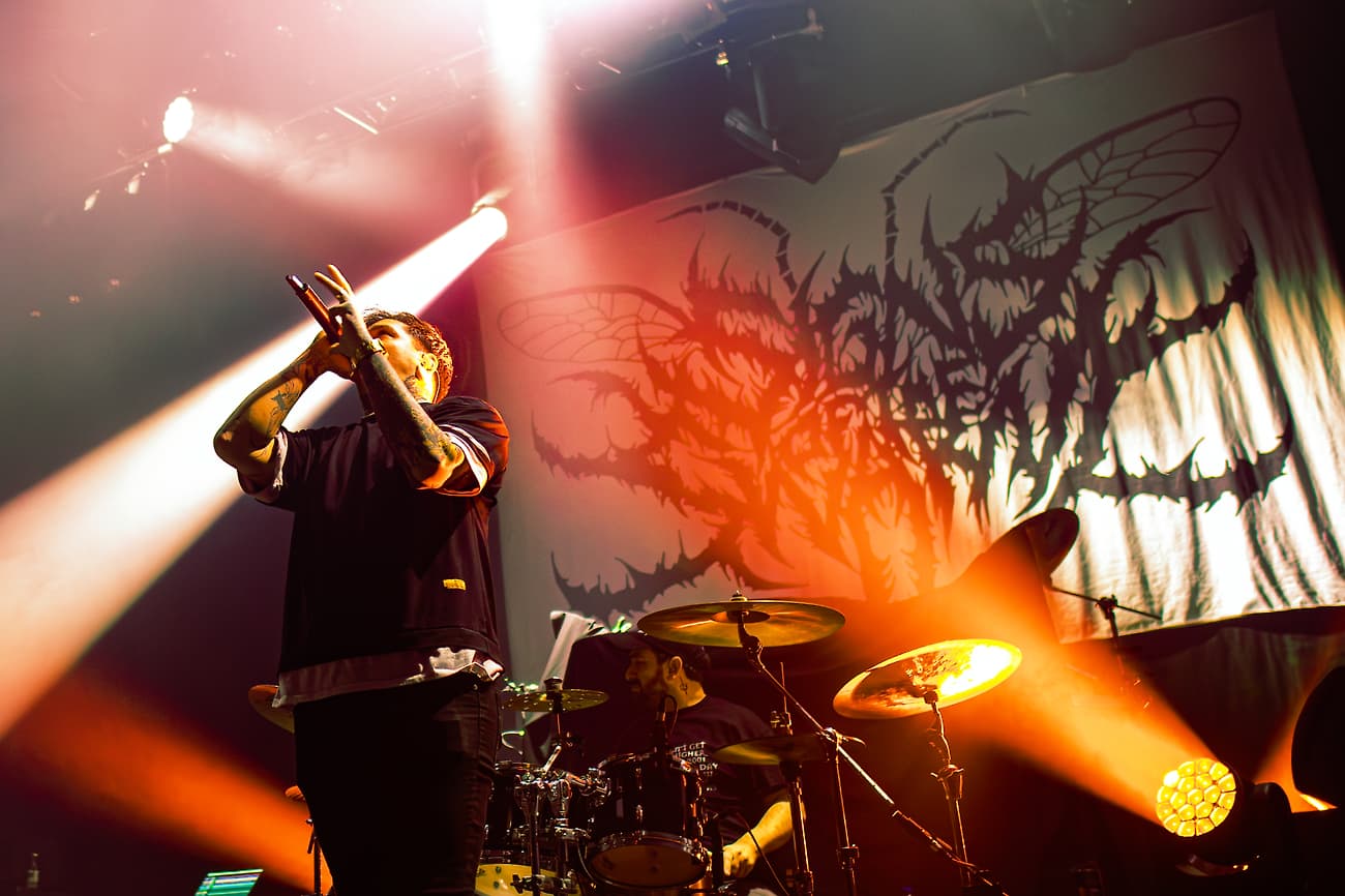 Signs of the Swarm - alpyz