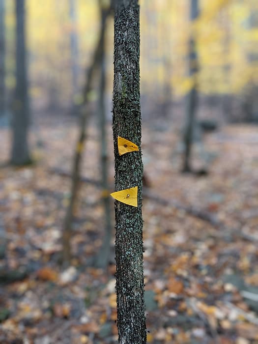 Site: Woodstock, NY - austen camille