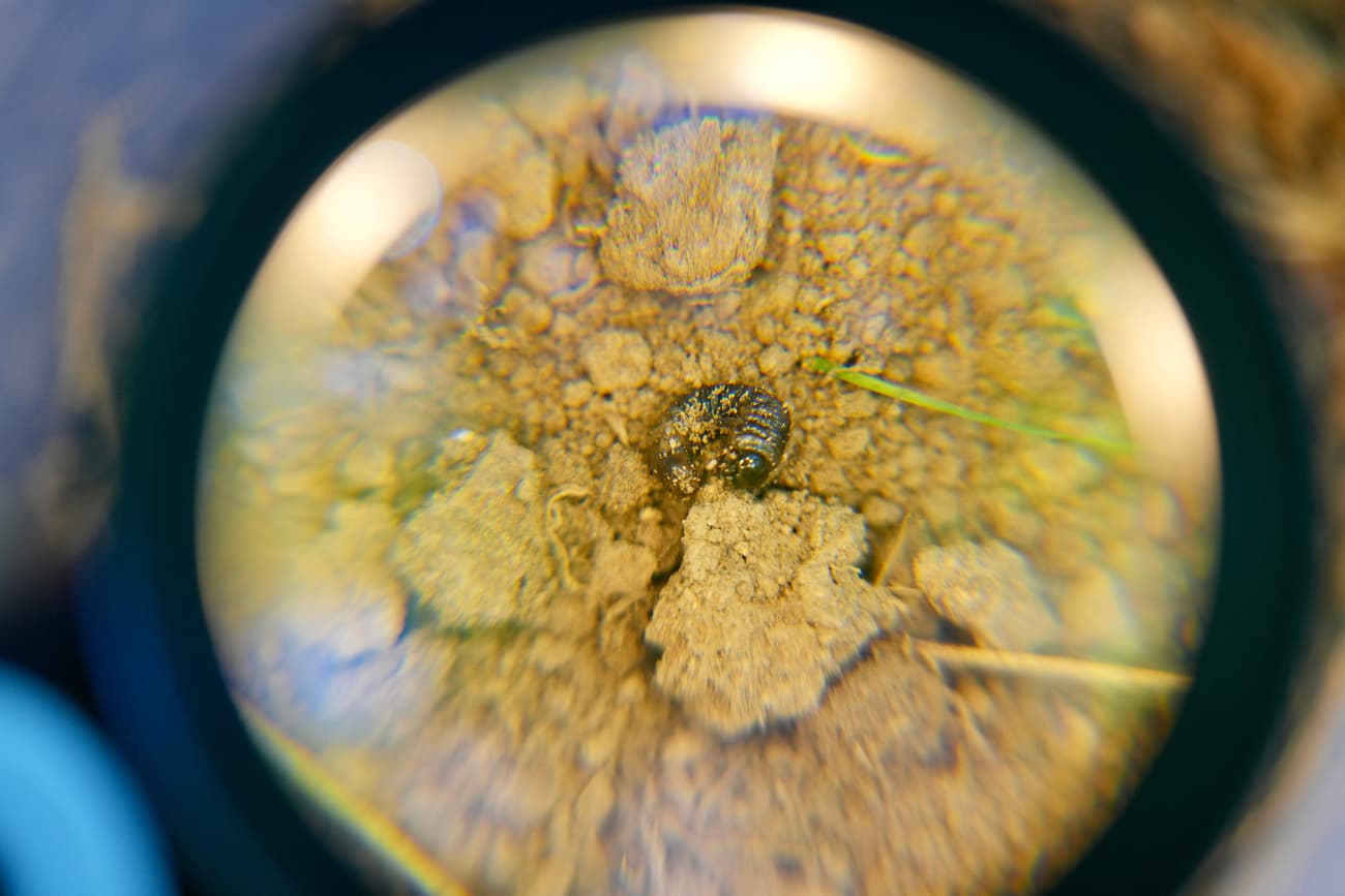 Site: Philadelphia PA (Ecotopian Toolkit) - austen camille