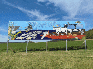 Site: Plain, WI - austen camille