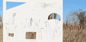 Site: Alvin, TX - austen camille