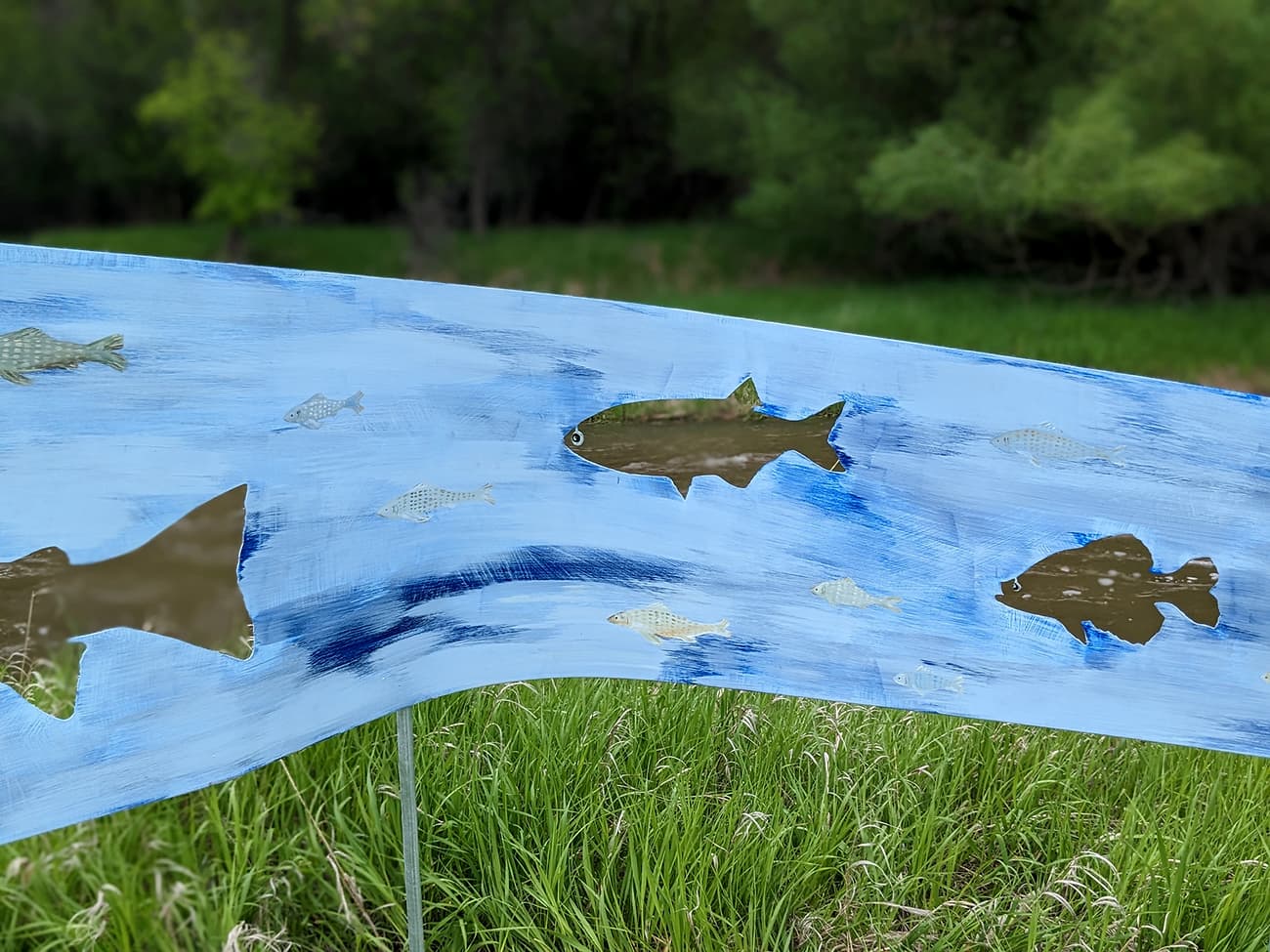 Site: Sheridan & Ranchester, WY - austen camille