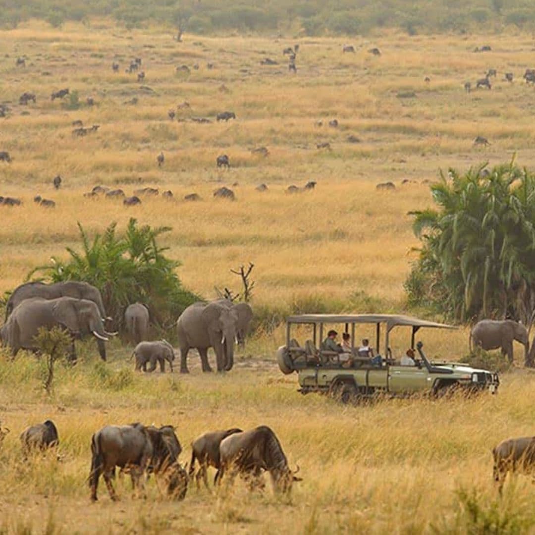 Africa - Blue Diamond Travel Agency