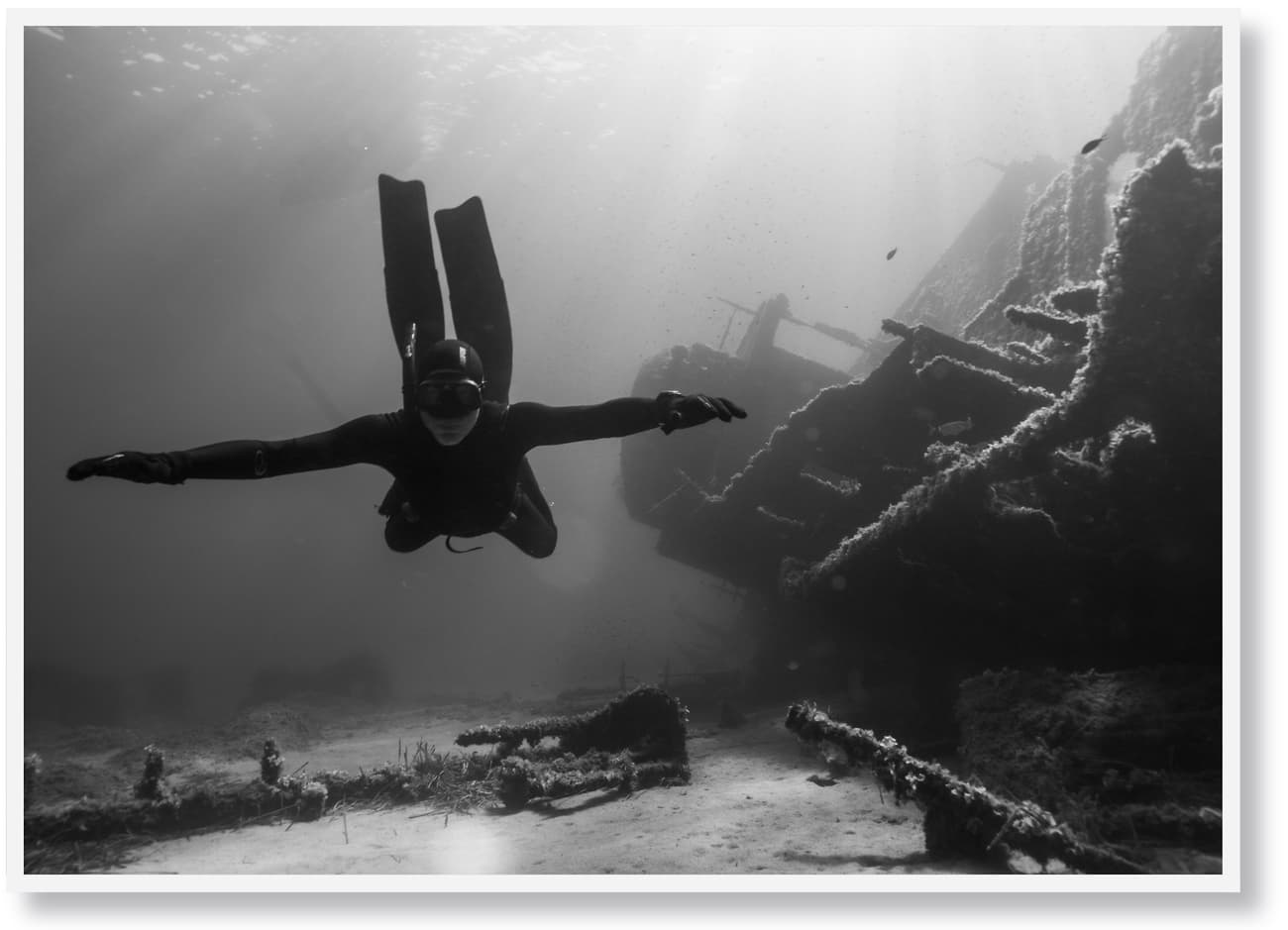 SHOP - Clemens Porikys