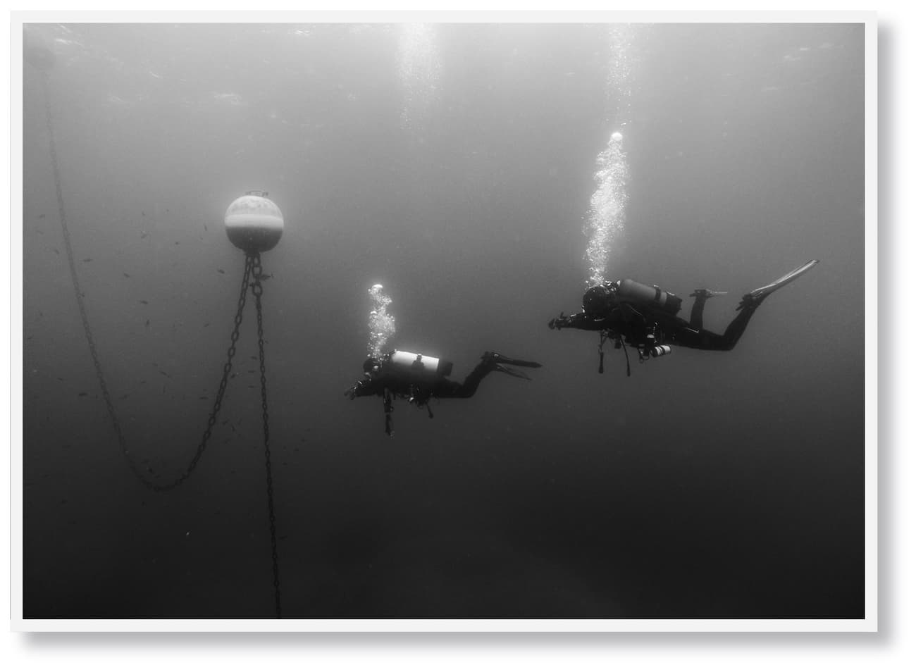 SHOP - Clemens Porikys