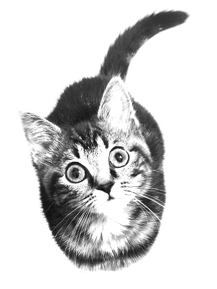 Jasper Dunesand Photography