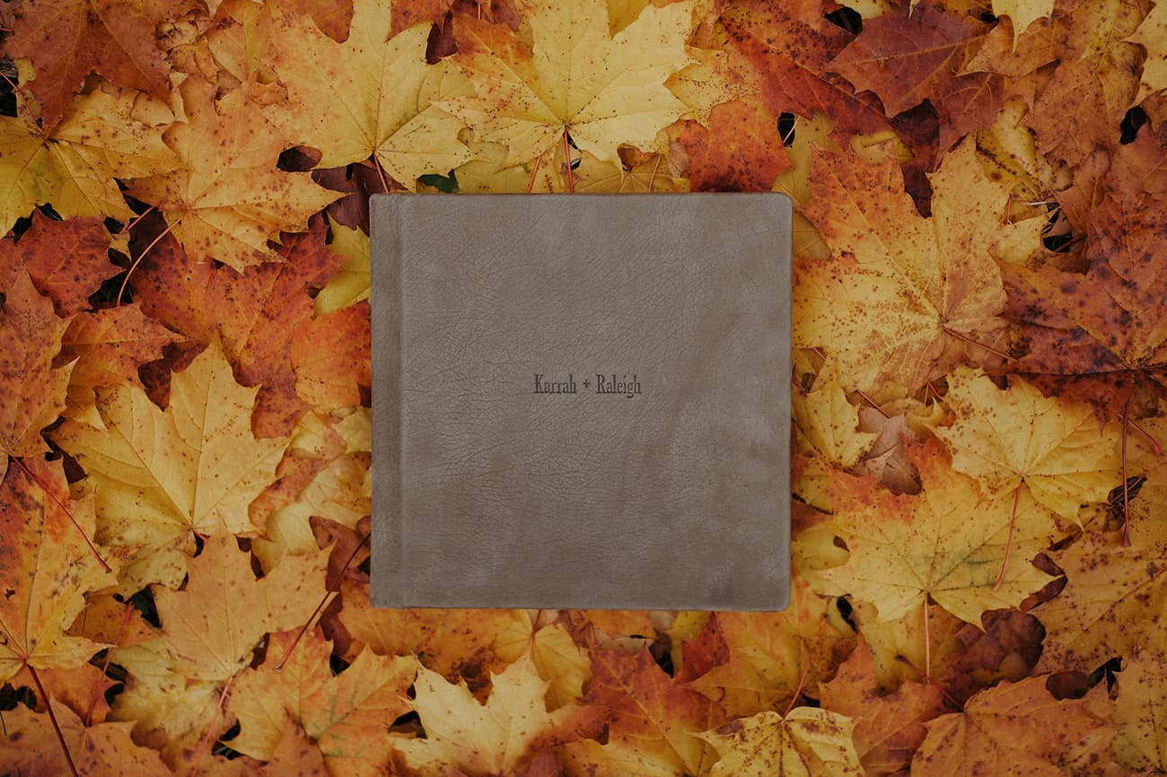 Albums - Jordan Voth