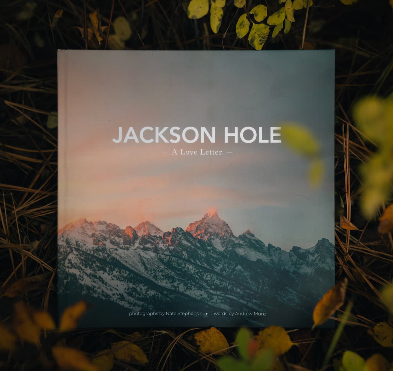 PRINTS | BOOKS - Nate Stephens