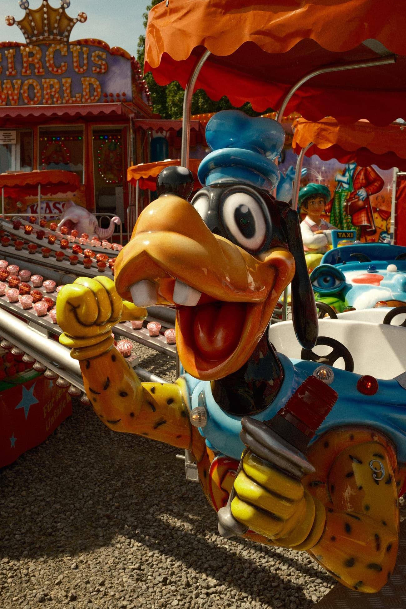 Summer Fair - Photography